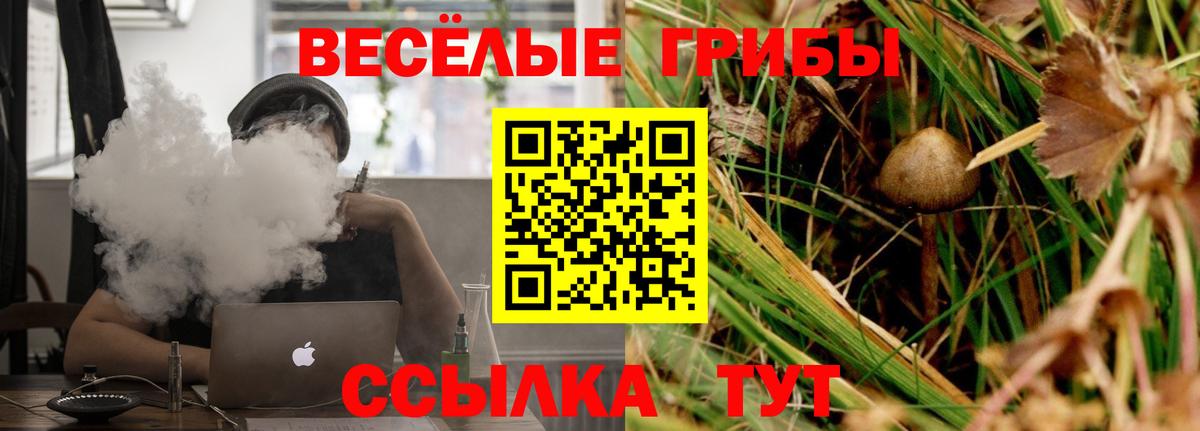 Черногорск  Псилоцибиновые грибы мухоморы  Вход с VPN 